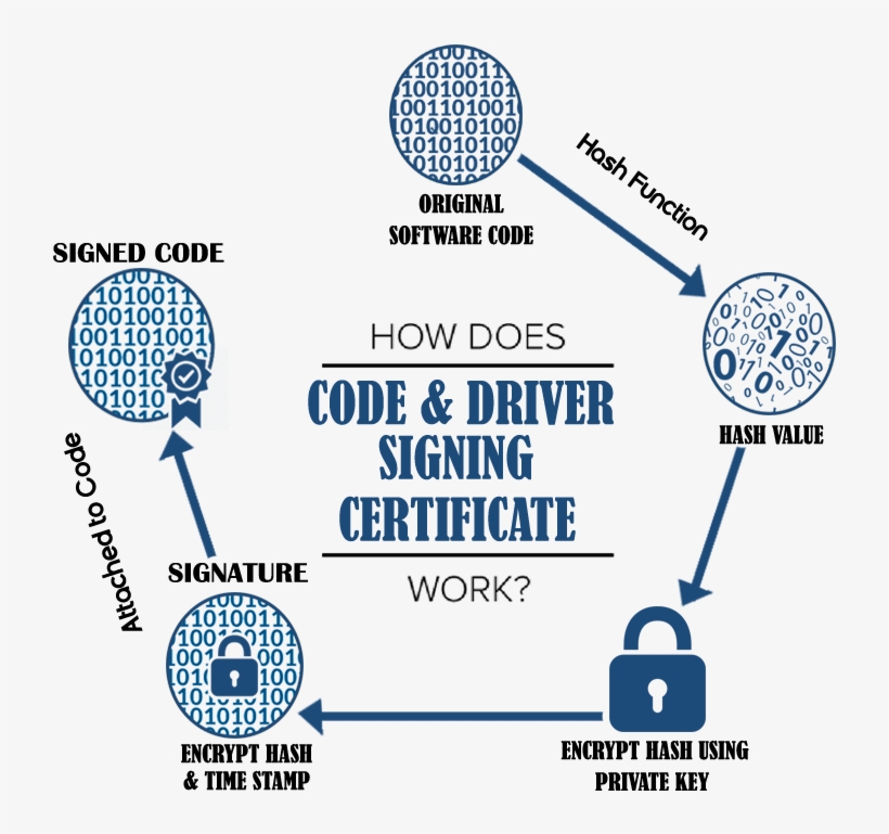 Facea Ucn, transparent png
