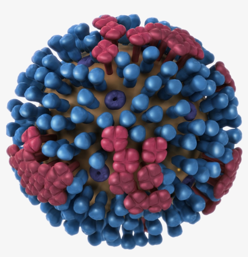 Source - Flu Virus, transparent png