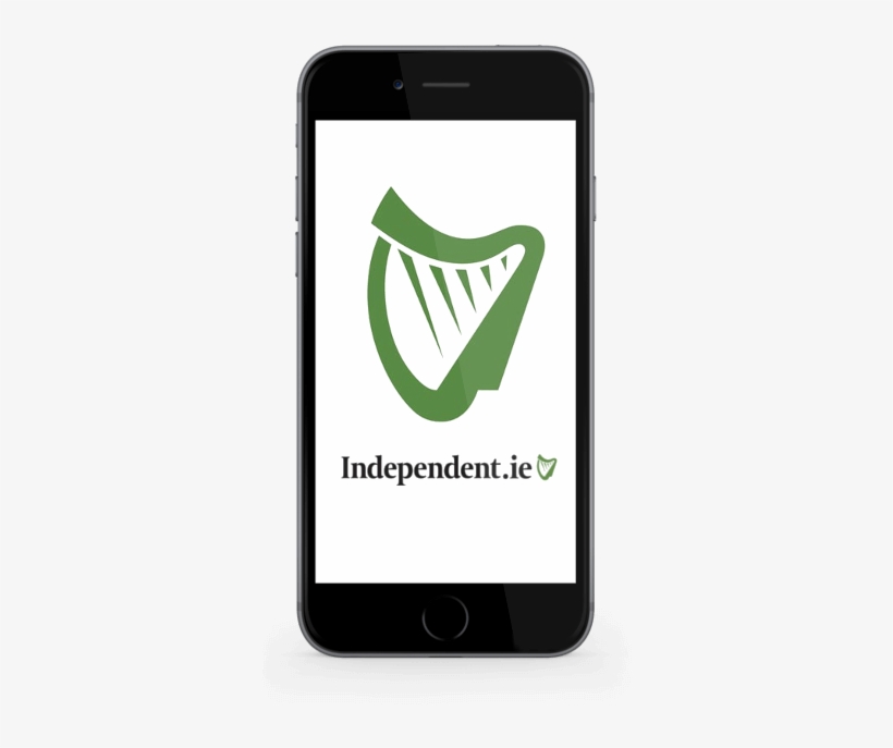 Case Study Independent - Freecodecamp, transparent png