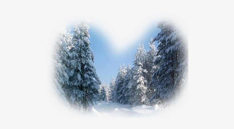 Realistic Winter Landscapes By Evgeniy Karlovich - Shalkiya, transparent png