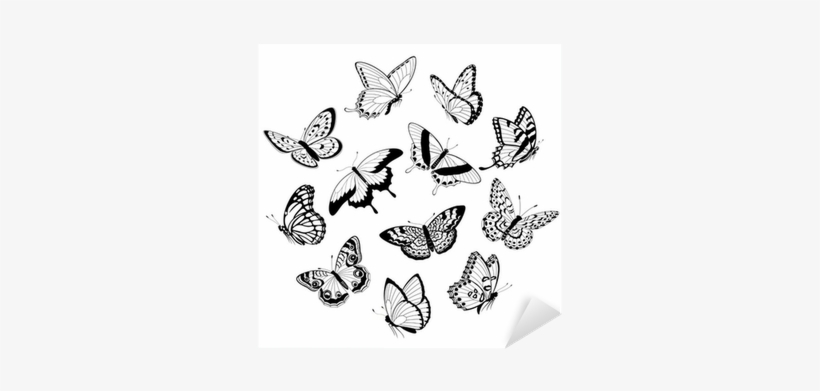Black And White Butterfly Drawing, transparent png