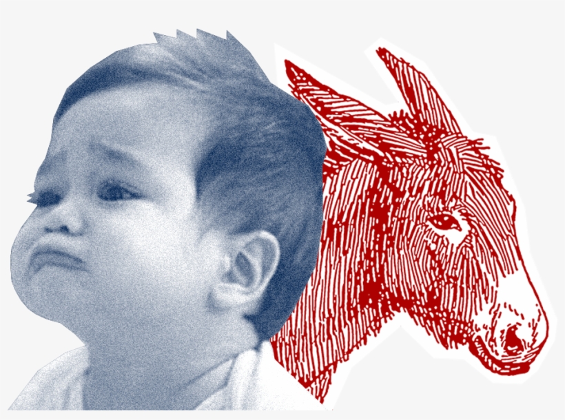 Americans Who Say They're Absolutely Certain To Vote - International Fan Bts Meme, transparent png