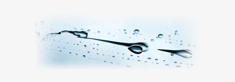 A Medida Que O Ângulo De Contato Das Gotas D'água Não - Ultrahydrophobicity, transparent png