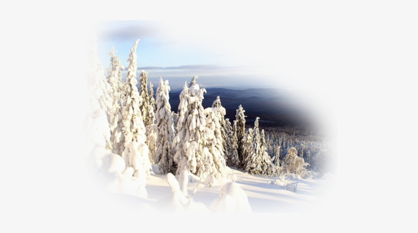 Realistic Winter Landscapes By Evgeniy Karlovich - Winter Snow Nature Real, transparent png