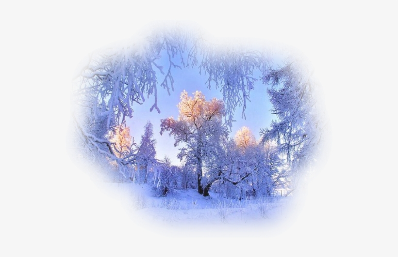 Winter Landscape ,jpg - Winter Pretty, transparent png