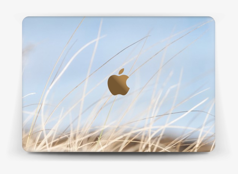 Beach Grass - Ipad 2, transparent png