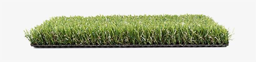 Pebble Beach Green - Pebble Beach, transparent png