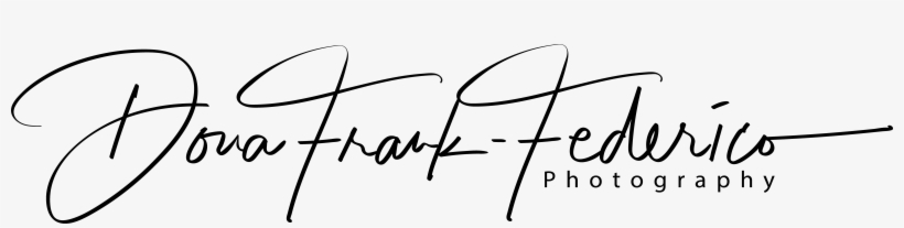 Dona Frank Federico Photography - Photography, transparent png