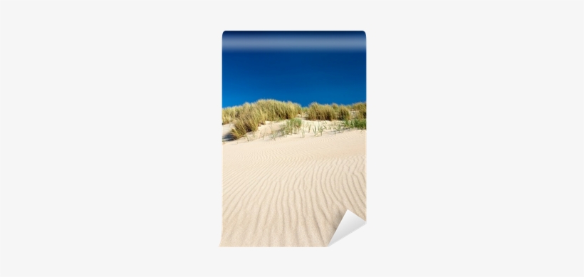 Sand Dunes With Beach Grass In The Netherlands Wall - Photograph, transparent png