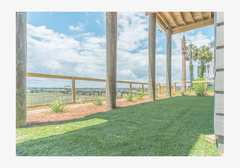 Turf Management By Priority Landscaping - Artificial Turf, transparent png