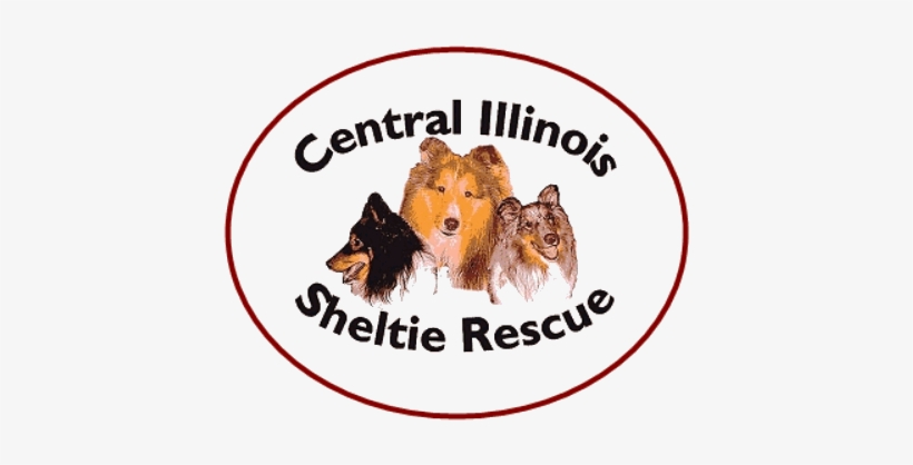 Central Illinois Sheltie Rescue, transparent png
