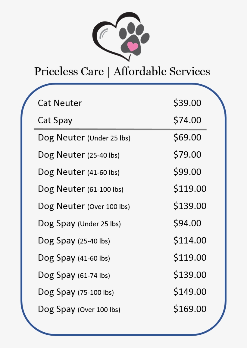 Sx Tab - E - Portable Network Graphics, transparent png