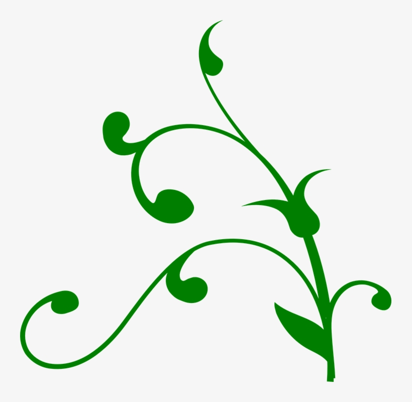 Flourish Vector Clipart Swirl Design Flourishes Digital - Green Vines Clip Art, transparent png
