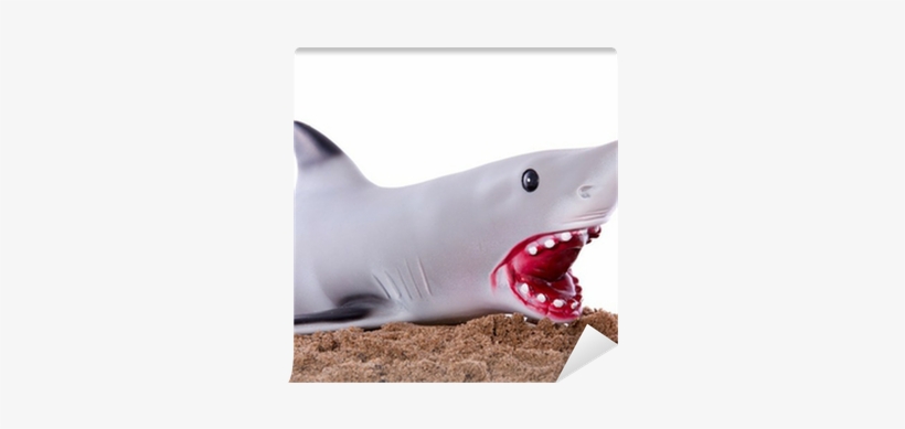 An Extramarital Grey Shark On The Beach Sand With A - Beach, transparent png