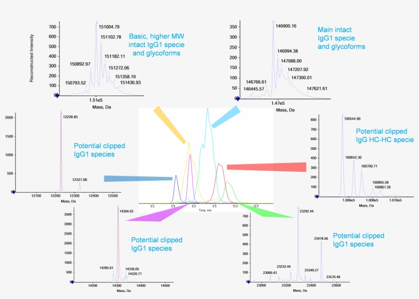 A Profile Of Intact, Non-reduced Igg1 Charge Variants - Diagram, transparent png