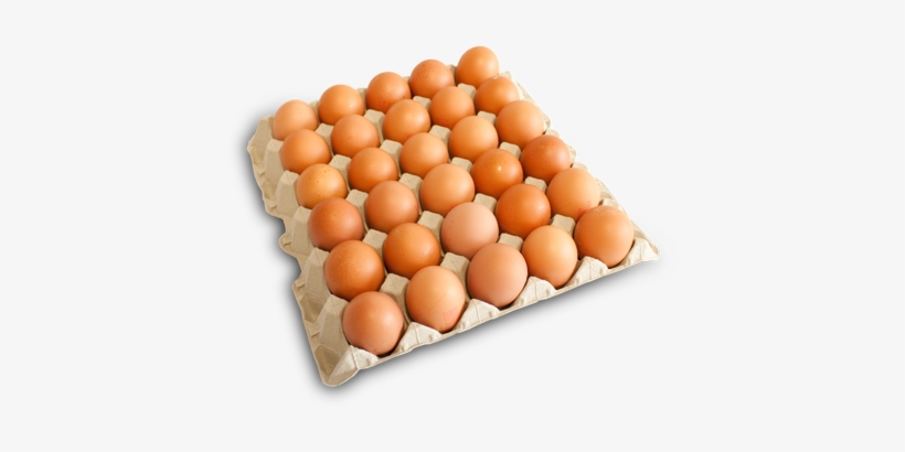 Bandeja 30 Huevos Canelos Frescos - Carton De Huevos Png, transparent png