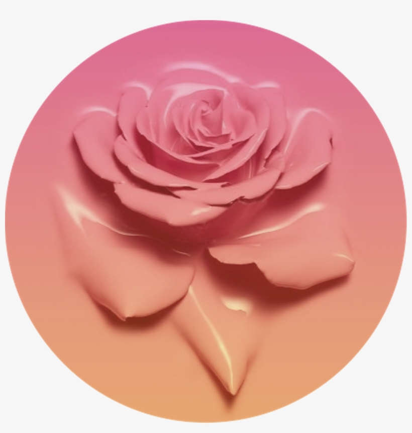 Icon Circle Rose Pink Fade Gradient Orange Flower - Baddie, transparent png
