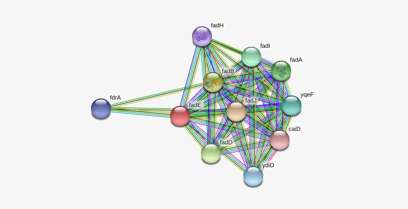 Circle, transparent png