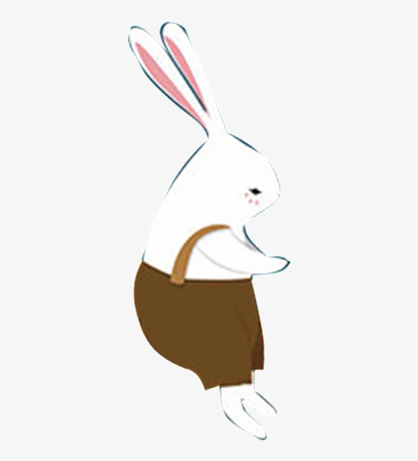 Un Conejo Con Pantalones - Illustration, transparent png
