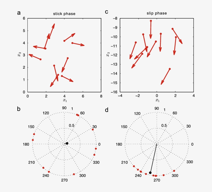 Panel Shows The Locations (red Dots) And Orientations - Diagram, transparent png