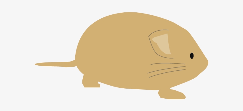 Free Download Rat Clipart Whiskers Clip Art - Reptile, transparent png