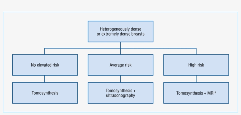 Annual Screening Management Strategy For Women With - Organization, transparent png