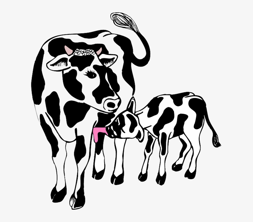 Download Png Royalty Free Stock Jr S Smokehouse Bbq - Cow And Calf Clipart, transparent png