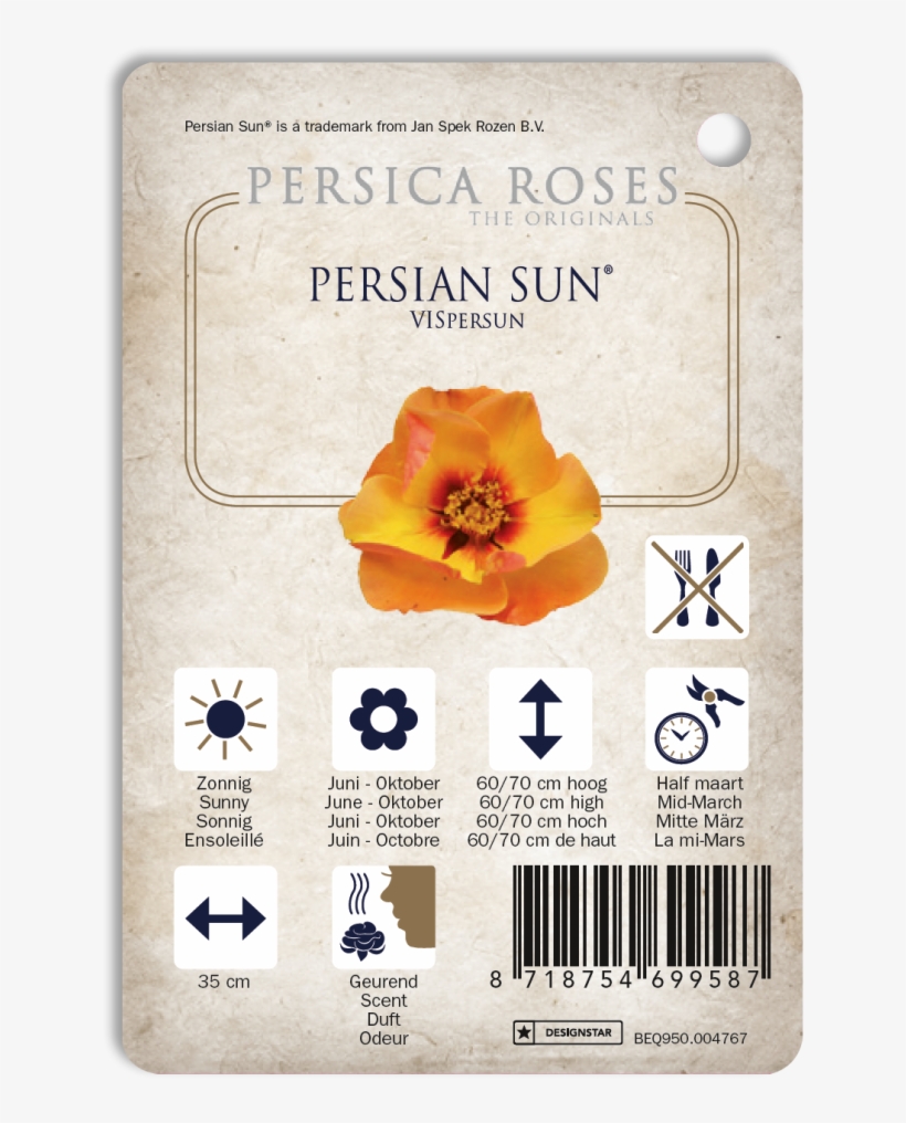 Persian Sun™ - Hibiscus, transparent png