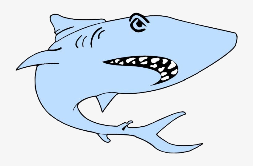 Workout Schedule - Great White Shark, transparent png