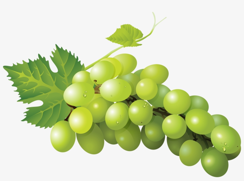 Grapetransparent, transparent png