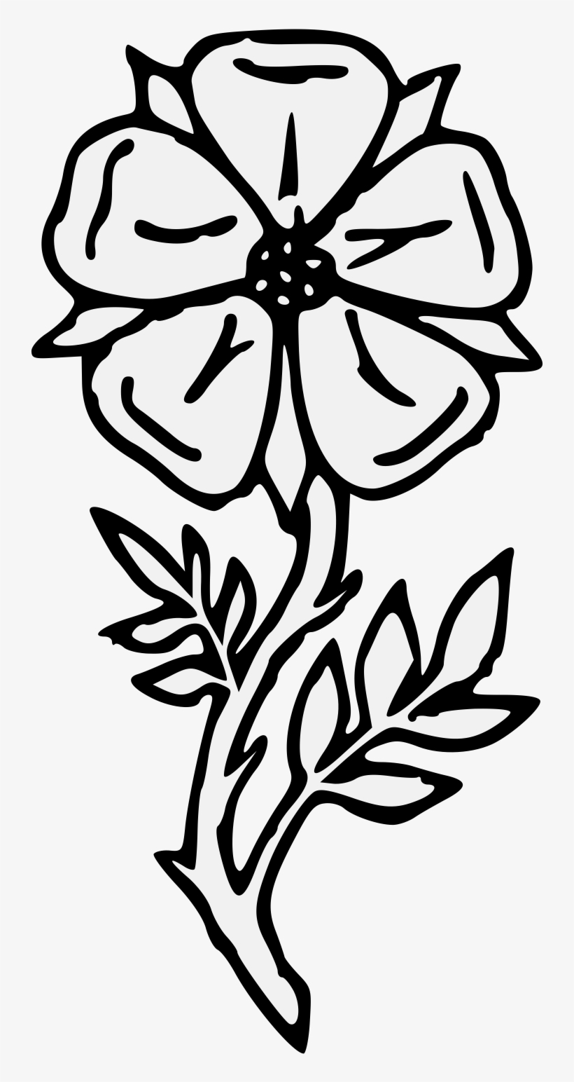 Details, Png - Rose, transparent png