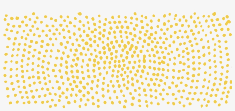 Tree Ring - Wallpaper, transparent png