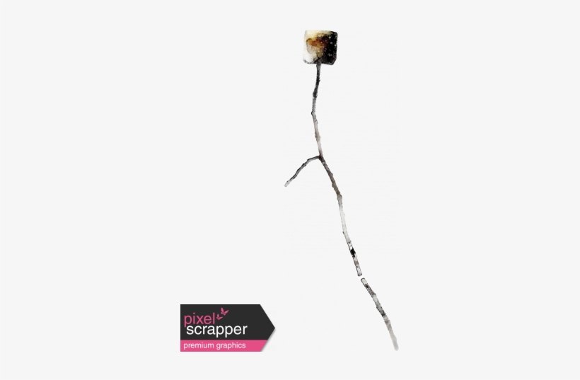 Camping Marshmallow On Stick - Twig, transparent png