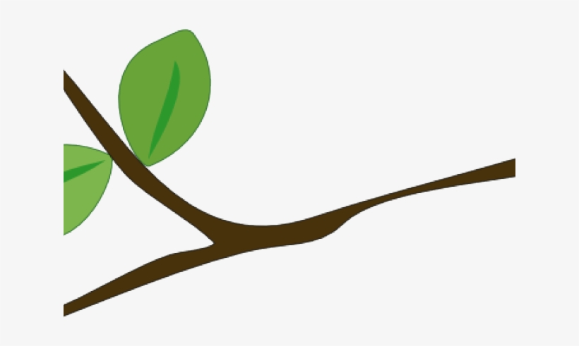 Cliparts Stick Tree - Branch, transparent png