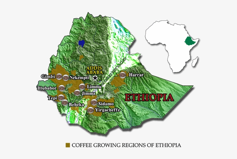 While Metad Can, Upon Request, Source And Deliver Specific - Coffee Growing Regions In Ethiopia, transparent png