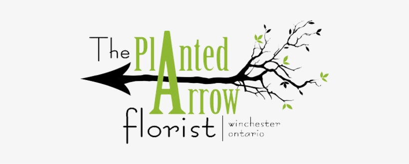 The Planted Arrow Florist - Up Syndrome: It's All About The Attitude [book], transparent png