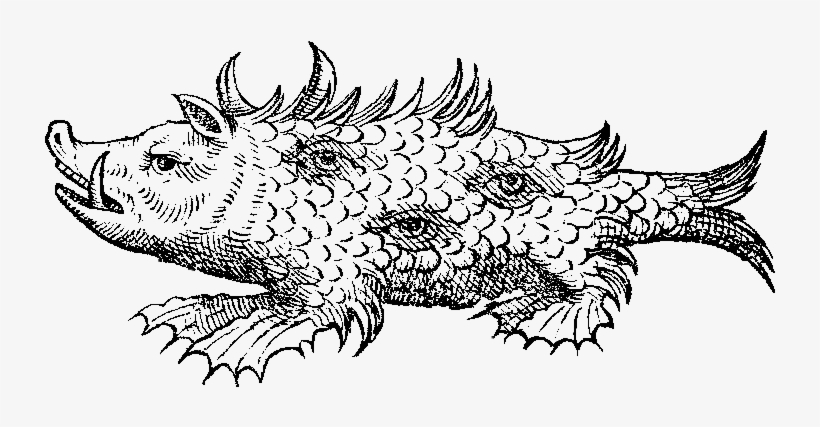 Detail Of The Monstrous Sea-pig - Sea Pig Coloring Page, transparent png