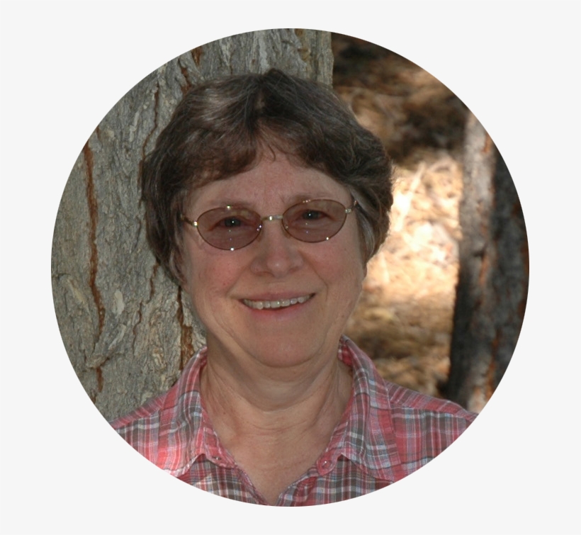 Sister Rosemary Kluepfel - Wall Clock, transparent png