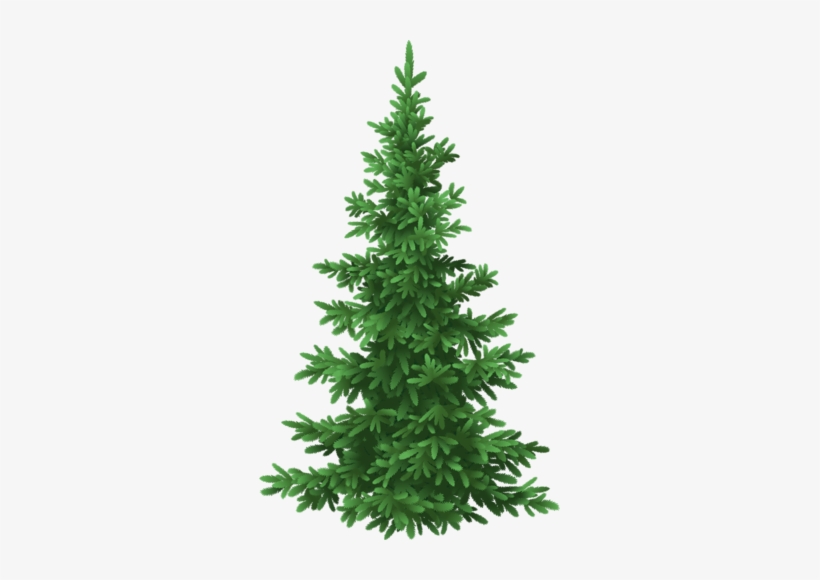 Garden Clipart - Blue Spruce Silhouette, transparent png