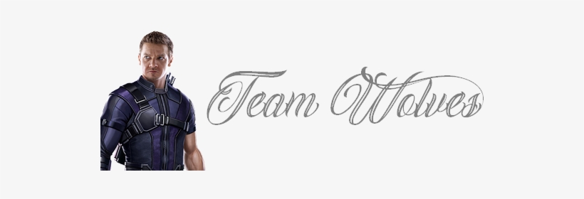 Plus De Payer La Totalité Des Frais Scolaires Plus - Cardboard Cutouts: Hawkeye - Marvel Civil War, 165x71cm., transparent png