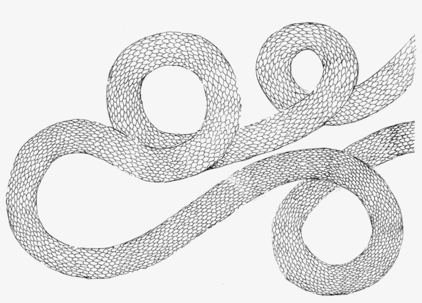 Snake2, transparent png