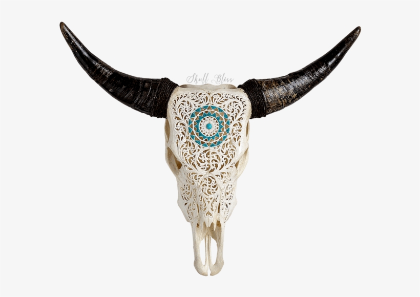 Cráneo De Toro Pintado, transparent png
