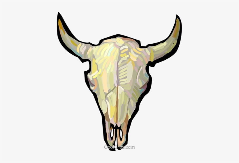 Bull Skull - Cranio De Boi Png, transparent png