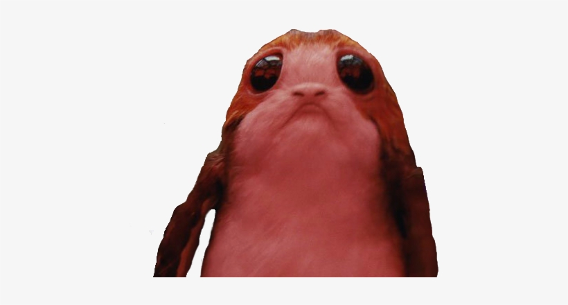 Lien Direct, 2017/41/2/1507657552 1507652701 Porg F5e77ddb - Insect, transparent png