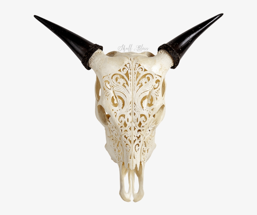 Carved Cow Skull - Skull, transparent png