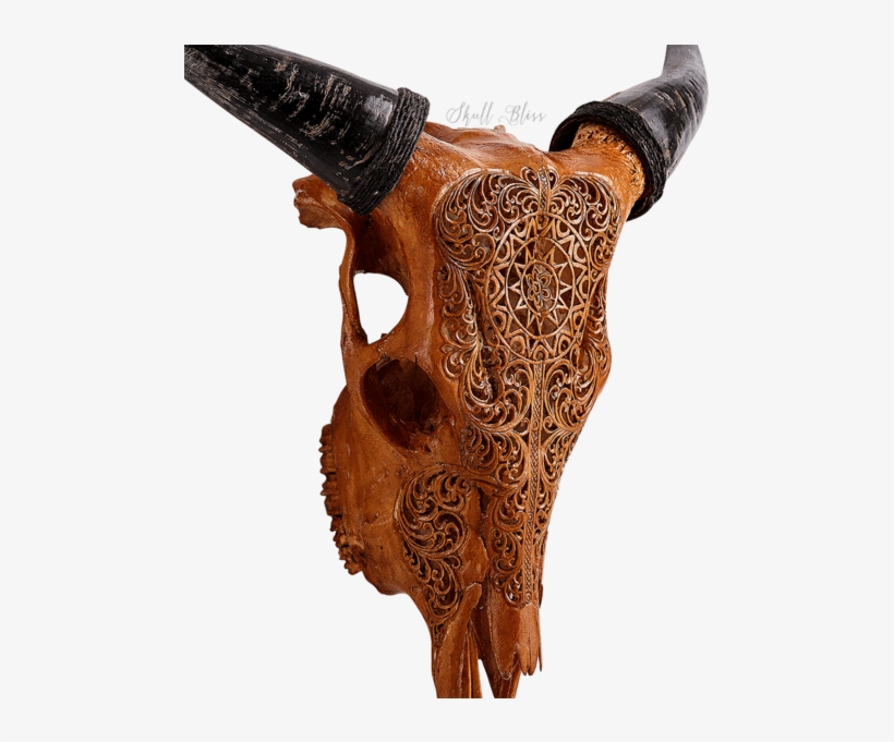 Carved Cow Skull - Cattle, transparent png