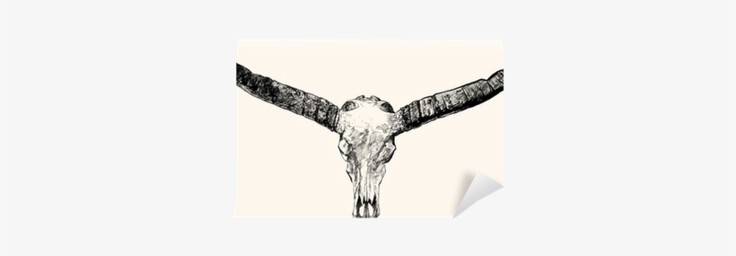 Drawing, transparent png
