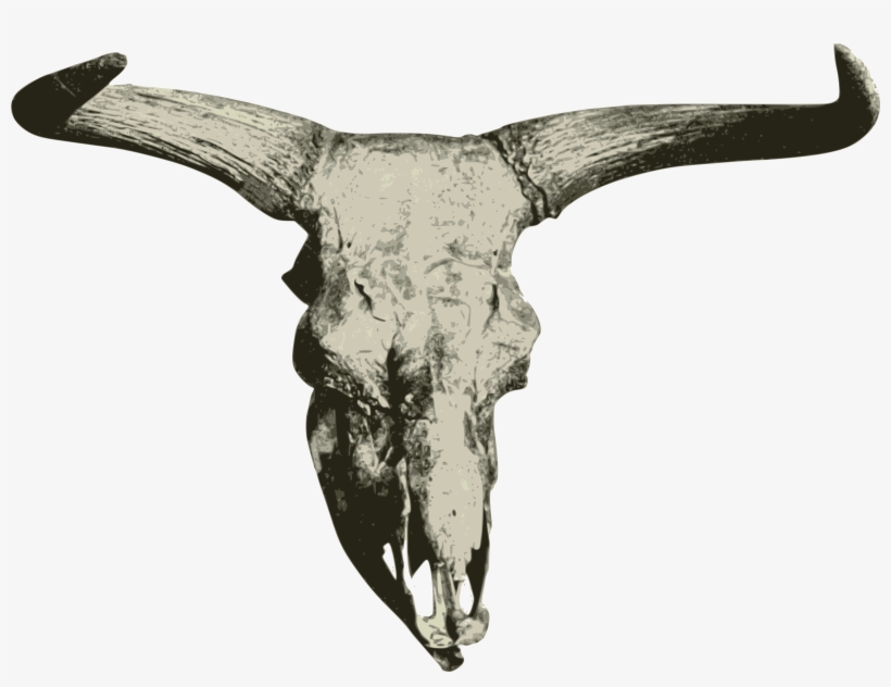Big Image - Bison, transparent png