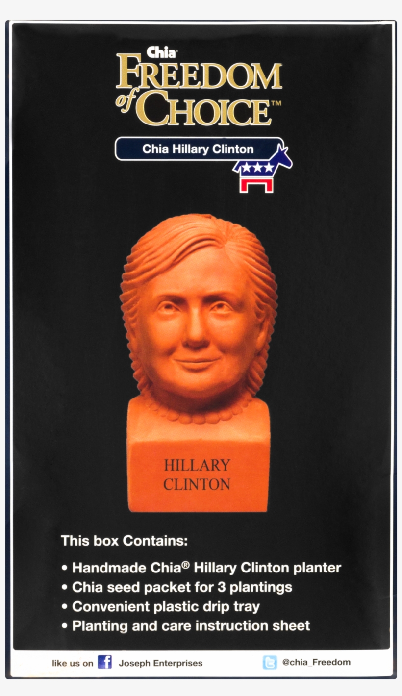 Hillary Clinton Png, transparent png