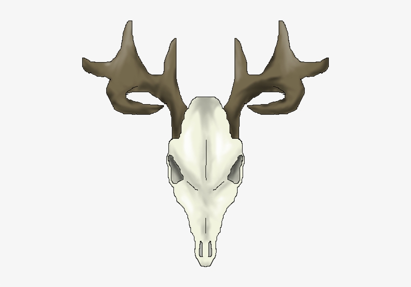 Whitetail Deer Skull Drawings - Animal Skull Art Transparent, transparent png